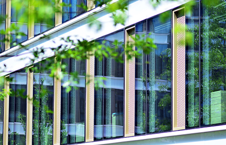 Move your payroll into the Cloud and go GREEN! Move your payroll into the Cloud and go GREEN!