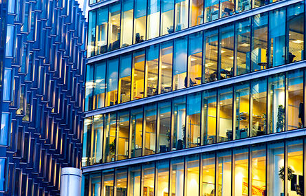 Professional services Professional services