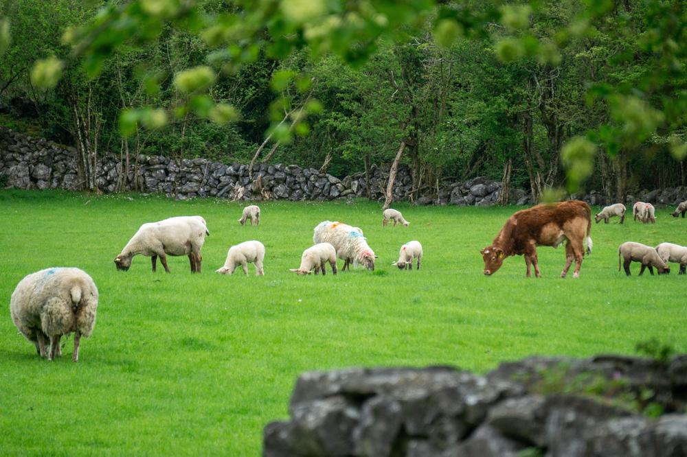 farming-income-surges