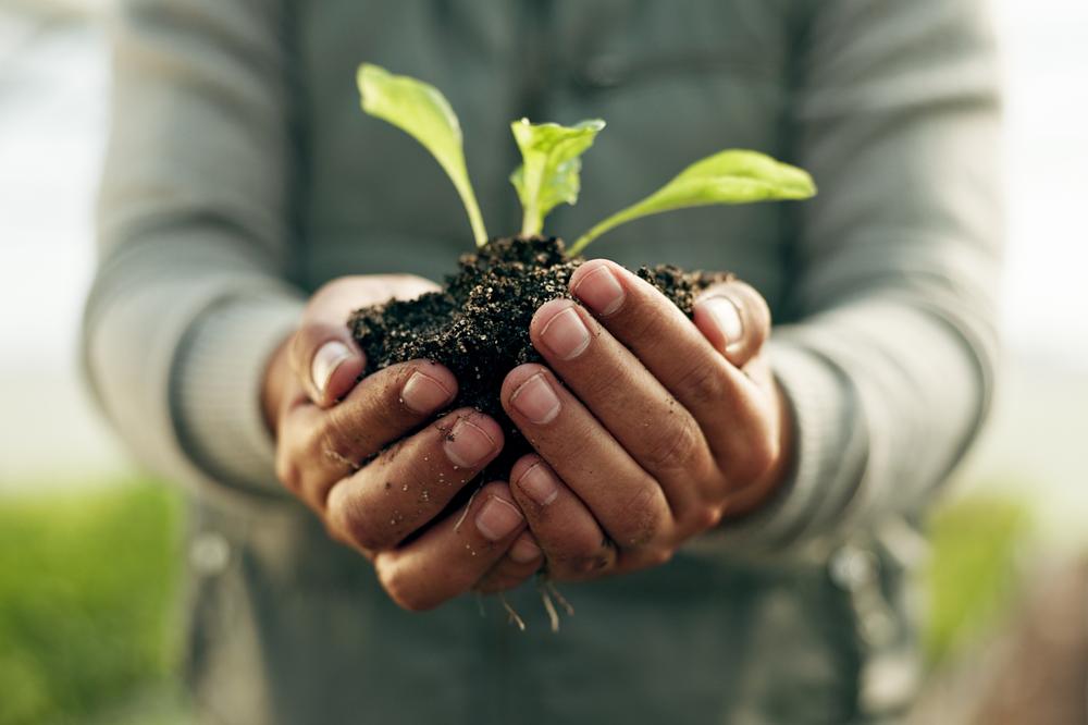 sustainable-farming